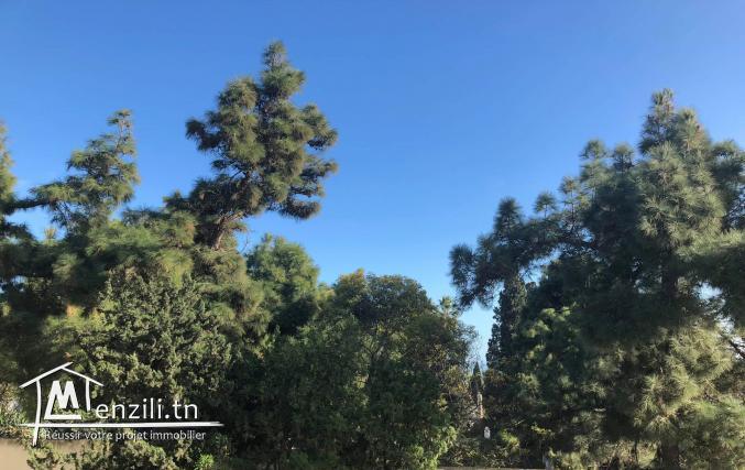 villa à vendre à Carthage