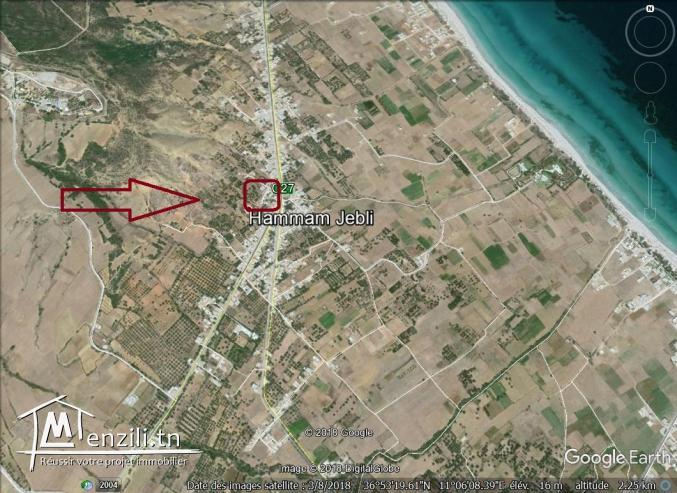 un terrain à vendre à ezzahra 50522361