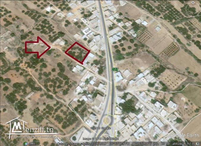 un terrain à vendre à ezzahra 50522361