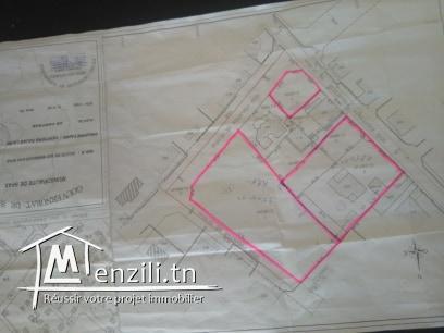 للبيع عدد 2 أرض في زنقة العش حبانة 1