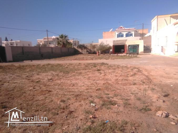 للبيع عدد 2 أرض في زنقة العش حبانة 1