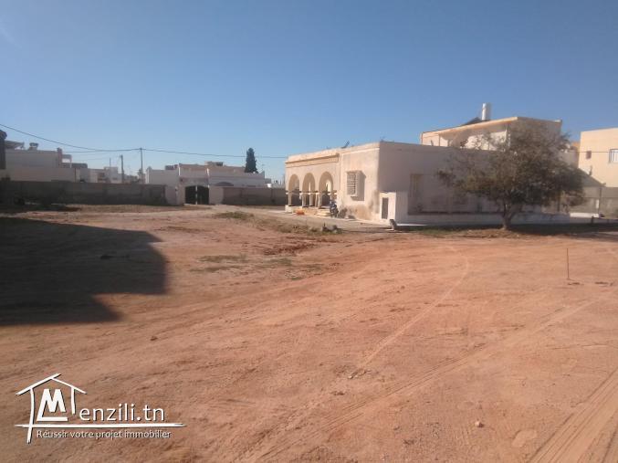 للبيع عدد 2 أرض في زنقة العش حبانة 1