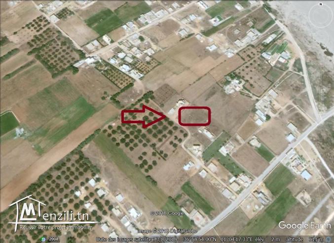 un terrain à vendre à dar allouch 50522361