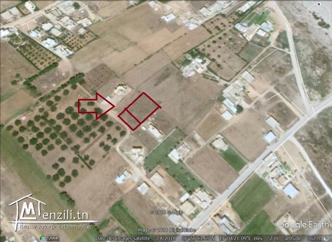 un terrain à vendre à dar allouch 50522361