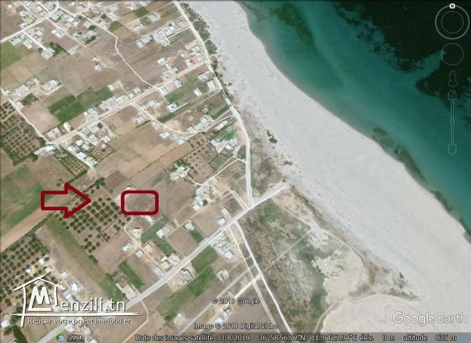 un terrain à vendre à dar allouch 50522361