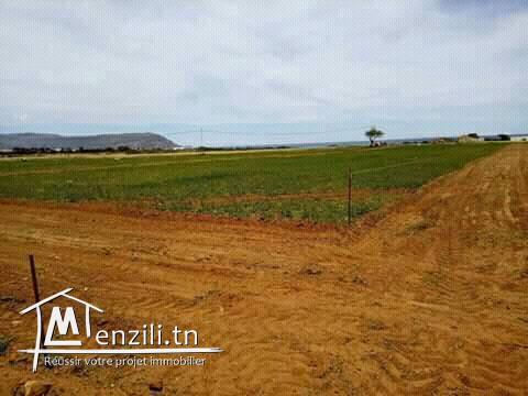 للبيع قطع ارض على البحر في دار علوش 95885014