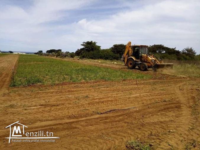 للبيع قطع ارض على البحر في دار علوش 95885014