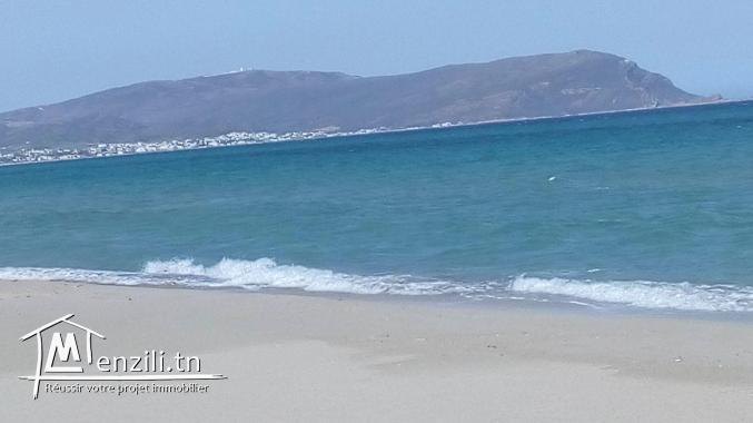 Terrain à vendre kélibia (Dar Allouch plage)95885014