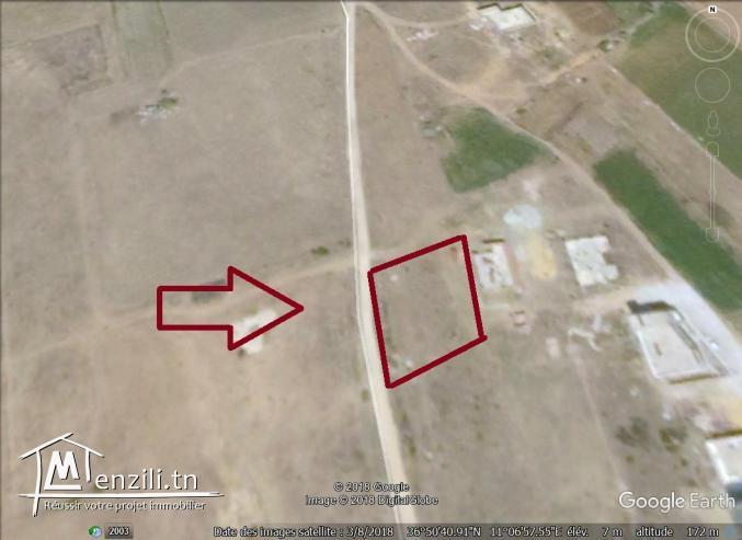 un terrain à vendre à kélibia mansoura pour plus d'info 50522361