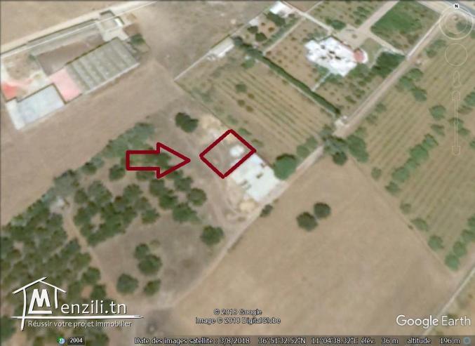 un terrain à vendre à kélibia 50522361