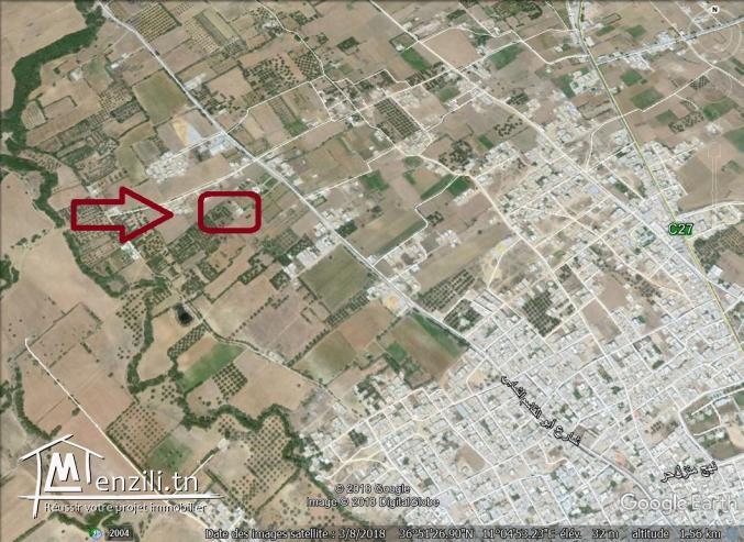 un terrain à vendre à kélibia 50522361