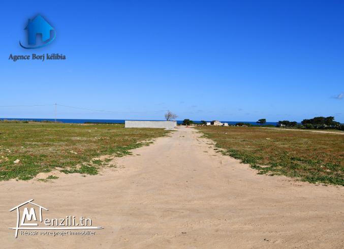 Terrain à vendre Kélibia(Dar Allouch plage) 95885014