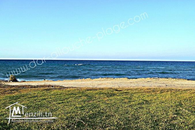 Terrain à vendre Kélibia(Dar Allouch plage) 95885014