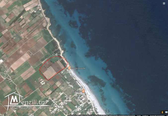Terrain à vendre Kélibia(Dar Allouch plage) 95885014