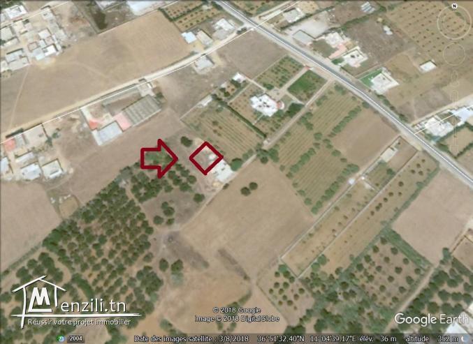 un terrain à vendre à kélibia  50522361