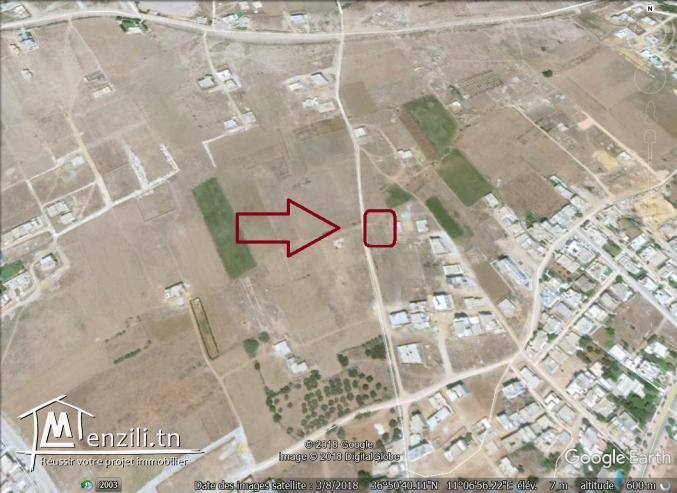 un terrain à vendre à kélibia mansoura 50522361