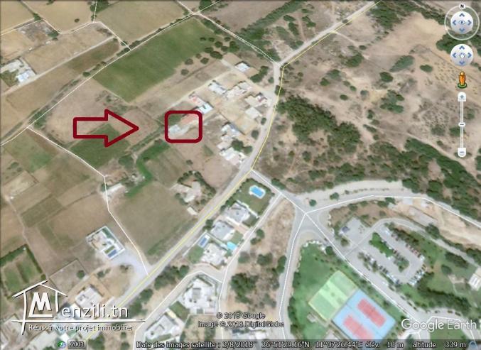 un terrain à vendre à kélibia mansoura 50522361