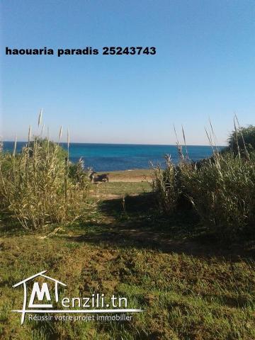 terrain 1ére position la plage dar allouch titre bleu