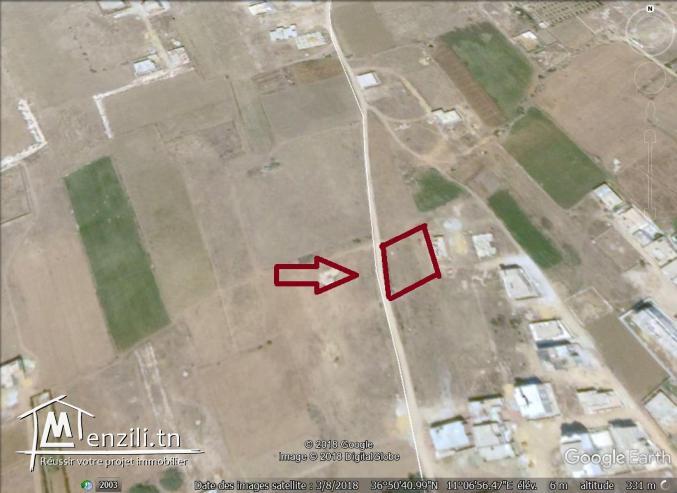 un terrain à vendre à kélibia mansoura 50522361