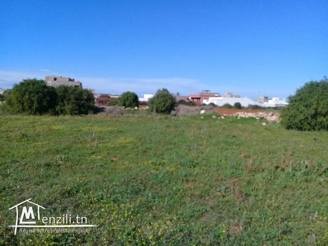 nouveau lotissement a haouaria plage a partir de 165m²