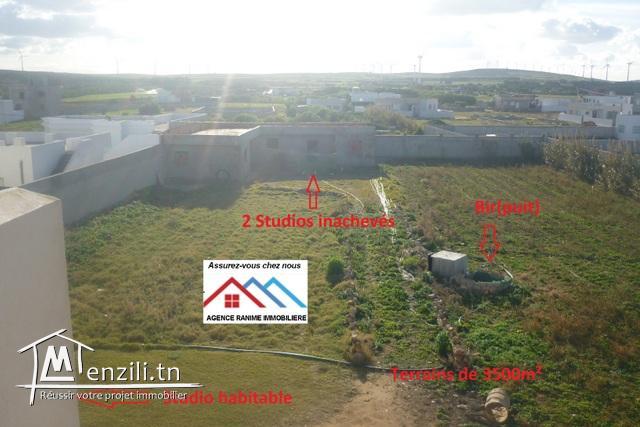 Grande villa ds 3403m2 a la mer d'el haouaria