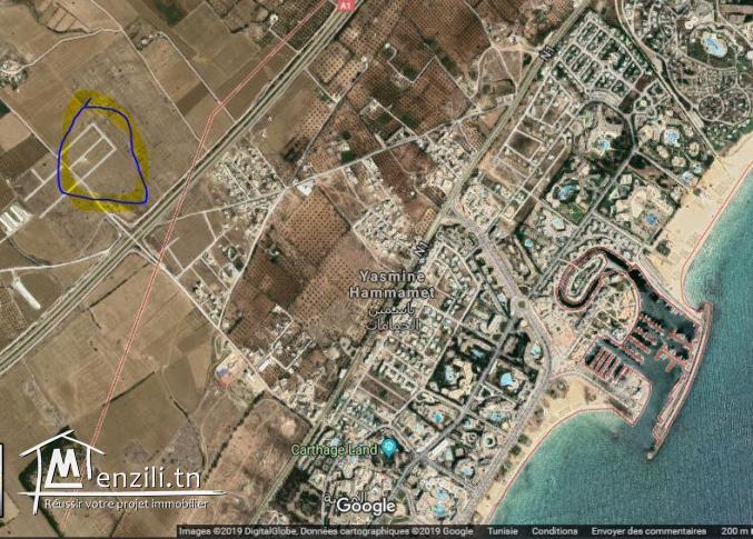 Terrain hammamt yesmin hammamet