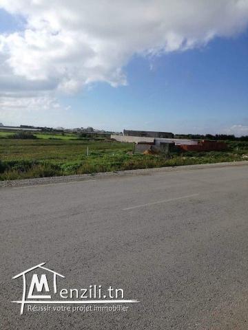 terrain a vendre sur la route principale a la plage ain grinz