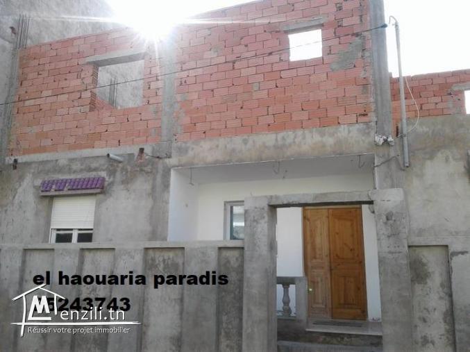 villa de surface 300m² a el haouaria centre ville