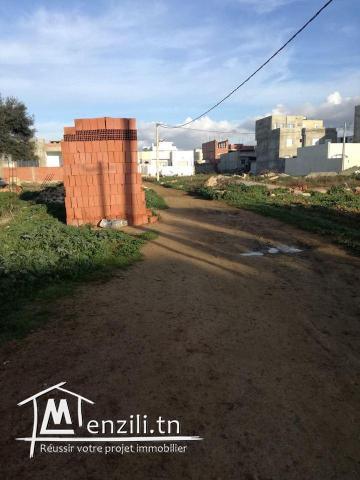 terrain quartier riadh kelibia