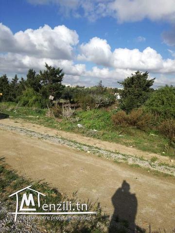 terrain zone touristique sur la route plage ain grinz