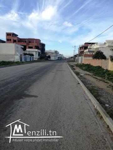 terrain quartier riadh kelibia