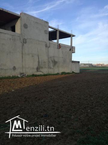 terrain quartier riadh kelibia