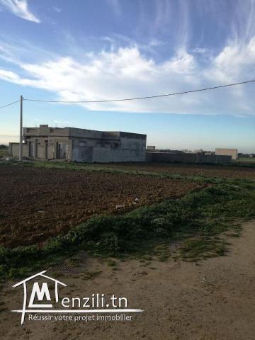 terrain quartier riadh kelibia