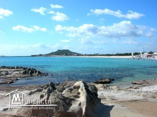 terrain quartier riadh kelibia