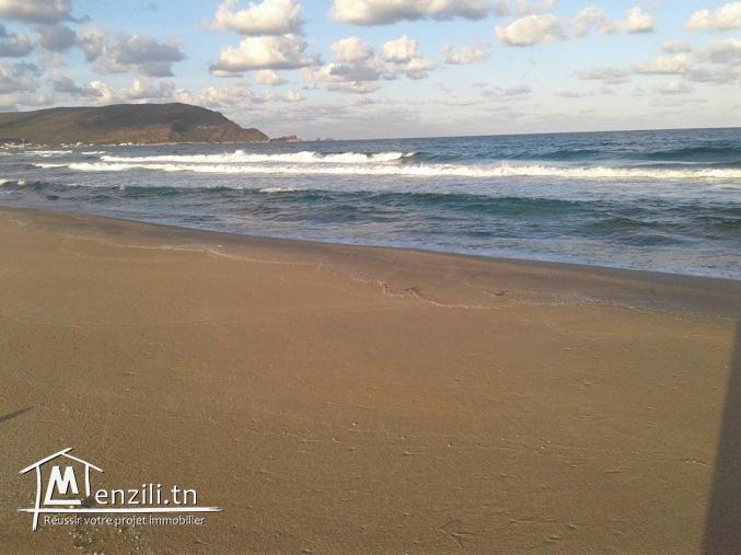 duplex haut de gamme en cour de construction S+3 vue de mer chat l9ibli