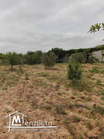 A vendre belle Villa bâti sur un Terrain de 4000m sur la route principal El Ain Km 11.5