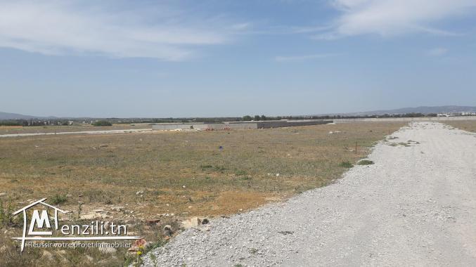 Terrain hammamt yesmin hammamet