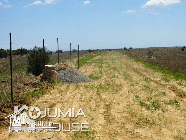 Vente des terrains à Manzel Brahim kélibia