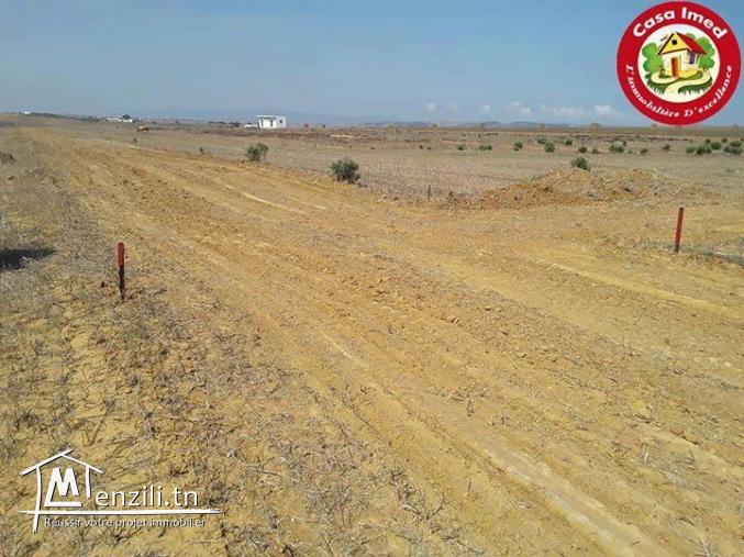 Vente des terrains à Manzel Brahim kélibia