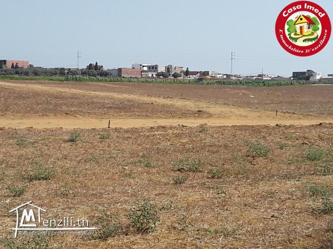 Des terrains constructible à kélibia