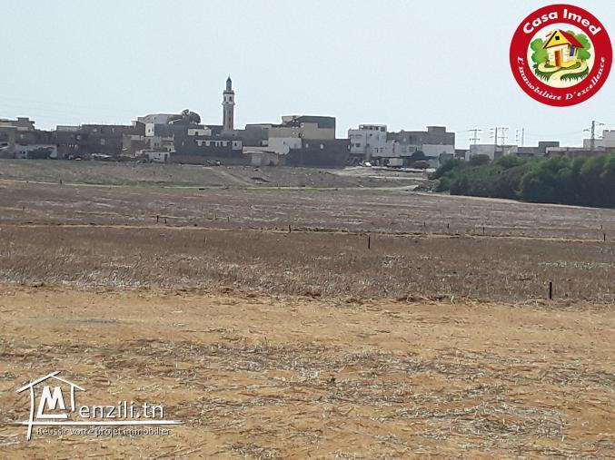 Des terrains constructible à kélibia