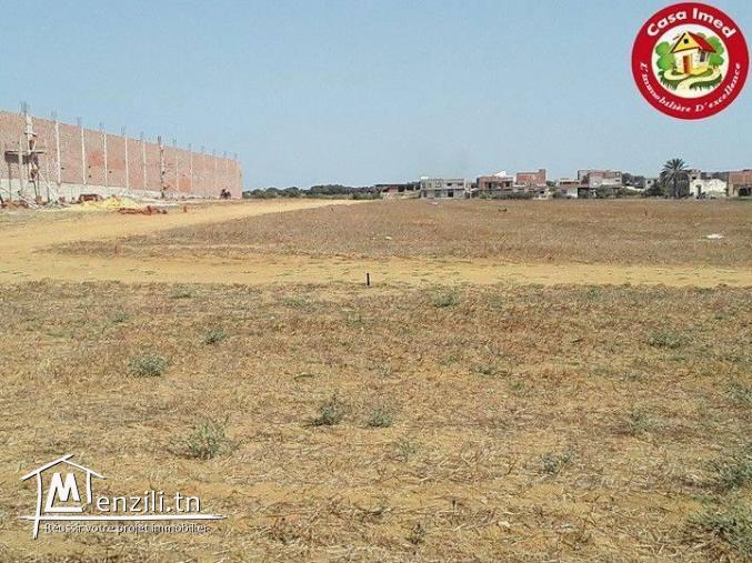 Des terrains constructible à kélibia