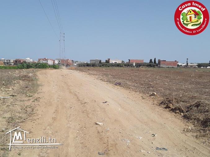 Des terrains constructible à kélibia