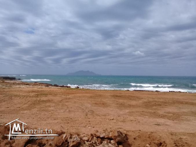 Terrain premier position  par apport de la plage el haouaria