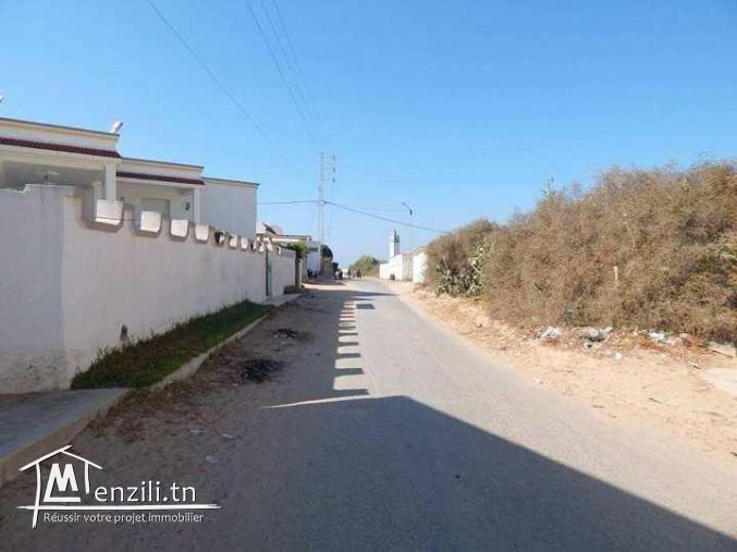 terrain sur la rue principale haouaria