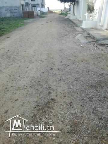terrain quartier riadh kelibia