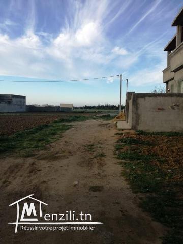 terrain quartier riadh kelibia