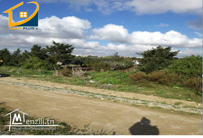 terrain zone touristique sur la route plage ain grinz