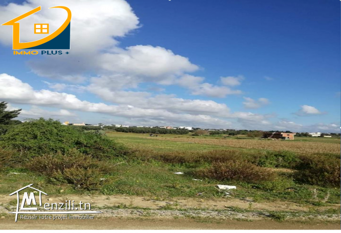 terrain zone touristique sur la route plage ain grinz