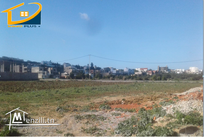 terrain 300m a la plage zahra kelibia